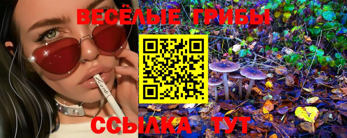 Псилоцибиновые грибы GOLDEN TEACHER  Псилоцибиновые грибы Psilocybine cubensis  Вход с VPN  Хасавюрт 