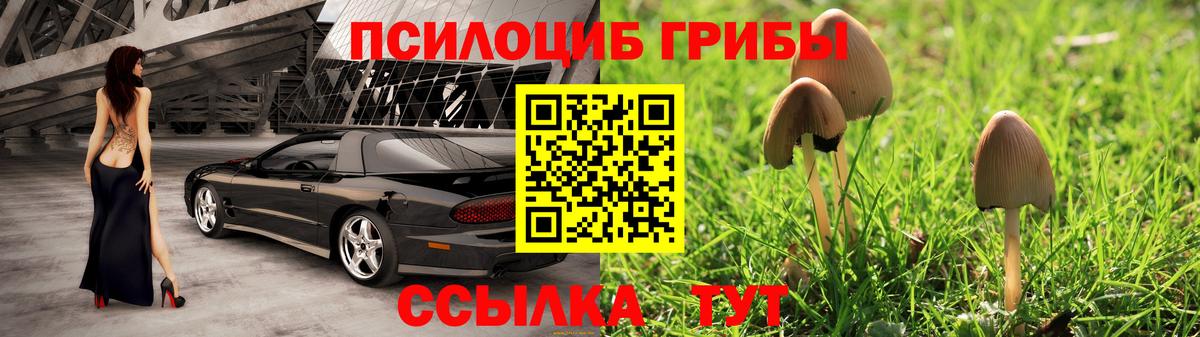 Псилоцибиновые грибы Cubensis Хасавюрт