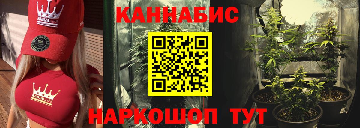 Хасавюрт  МАРИХУАНА семена  Конопля LSD WEED  Вход с VPN  Марихуана Amnesia 